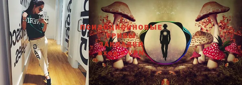 Псилоцибиновые грибы MAGIC MUSHROOMS  Нижняя Тура 